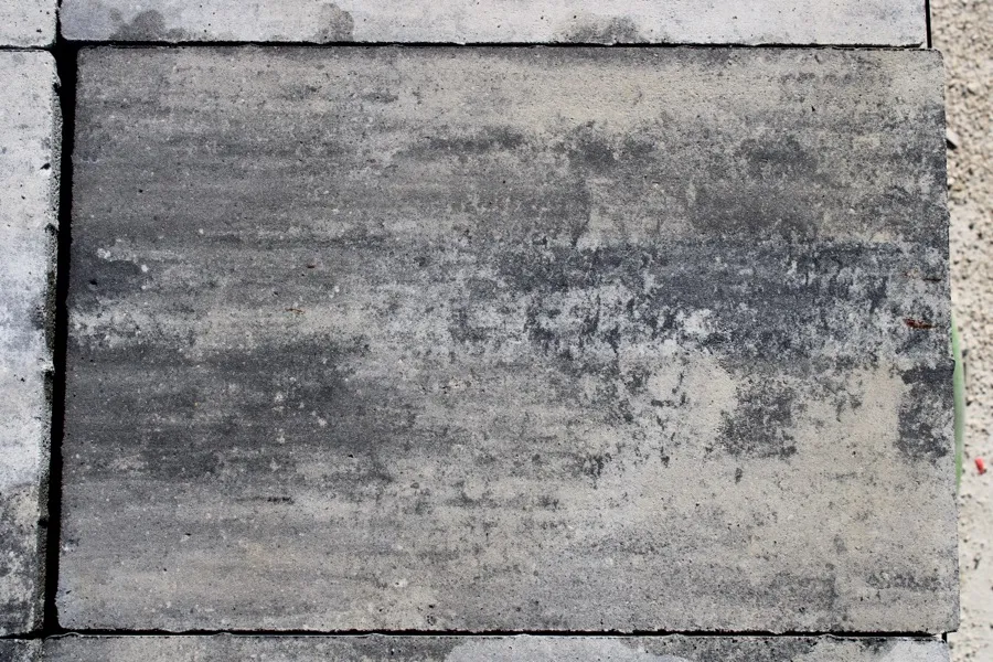 adoquin bicapa gris ceniza 60406